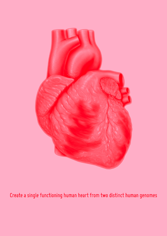Create a Single Functioning Human Heart from Two Distinct Human Genomes